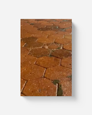 Tomettes en terre cuite - Décapage et traitements