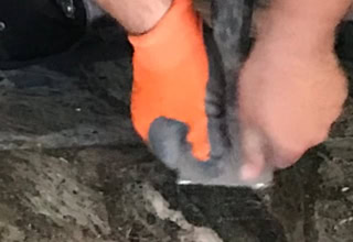 Services de ponçage et de cristallisation de marbre